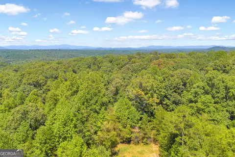 0 Paradise Park Rd, Cornelia, GA 30531 photo 21