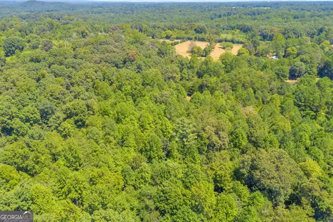 0 Paradise Park Rd, Cornelia, GA 30531 photo 14
