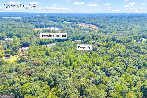 0 Paradise Park Rd, Cornelia, GA 30531 photo 4