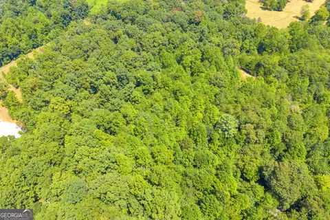 0 Paradise Park Rd, Cornelia, GA 30531 photo 20
