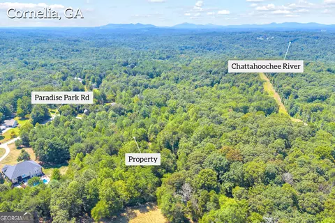 0 Paradise Park Rd, Cornelia, GA 30531 photo 6