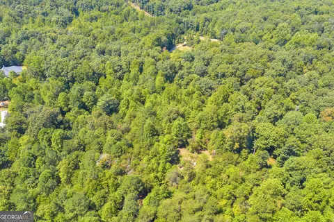 0 Paradise Park Rd, Cornelia, GA 30531 photo 19