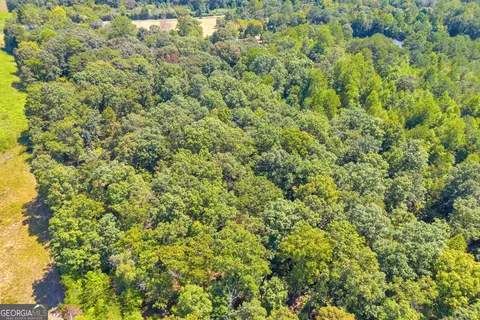 0 Paradise Park Rd, Cornelia, GA 30531 photo 16