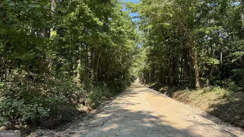 0 County Road 138 #LOT 4, Opelika, AL 36804