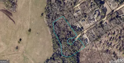 0 Wigfall Rd, Register, GA 30452 photo 2