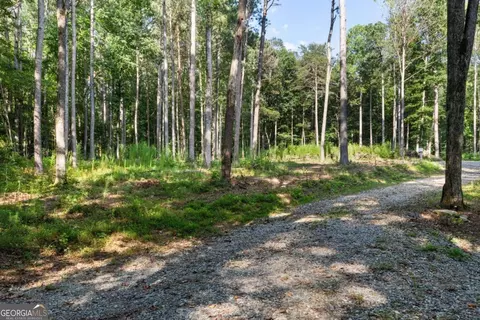 1080 Holt Rd, Ellijay, GA 30536