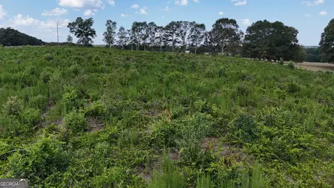 7999 Highway 172, Comer, GA 30629 photo 29