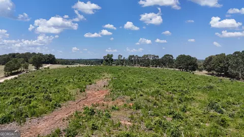 7999 Highway 172, Comer, GA 30629 photo 47