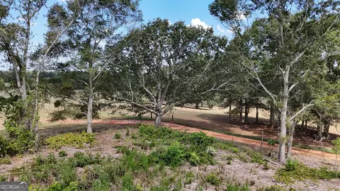 7999 Highway 172, Comer, GA 30629 photo 34