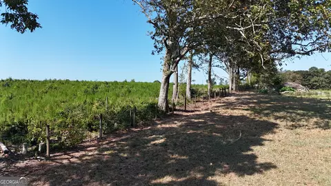 7999 Highway 172, Comer, GA 30629 photo 16