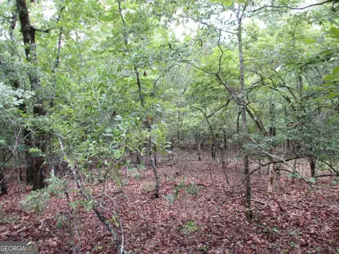 0 Stewart Rd, Cuthbert, GA 39840 photo 6