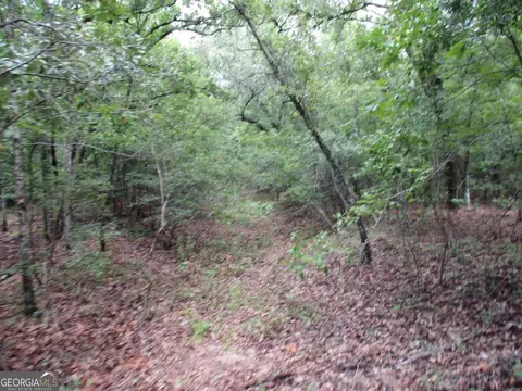 0 Stewart Rd, Cuthbert, GA 39840 photo 3