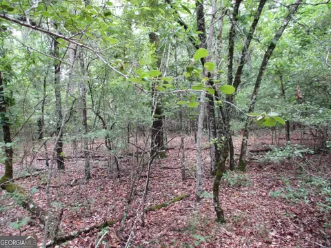 0 Stewart Rd, Cuthbert, GA 39840 photo 4