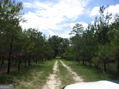 0 Stewart Rd, Cuthbert, GA 39840 photo 5