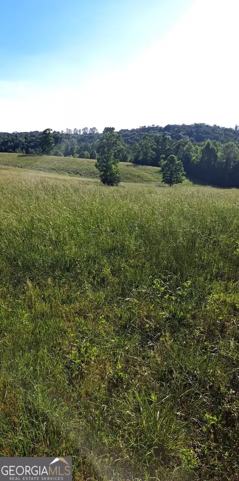 0 Rock Creek Rd, Toccoa, GA 30577 photo 11
