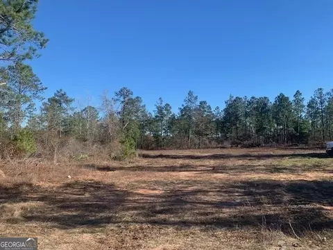 0 Buena Vista Hwy, Mauk, GA 31058