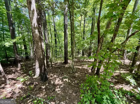 0 Night Hawk Ct #LOT 56, Monticello, GA 31064