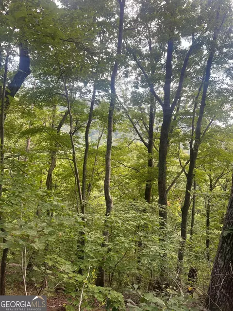 0 Folkstone Rd, Talking Rock, GA 30175