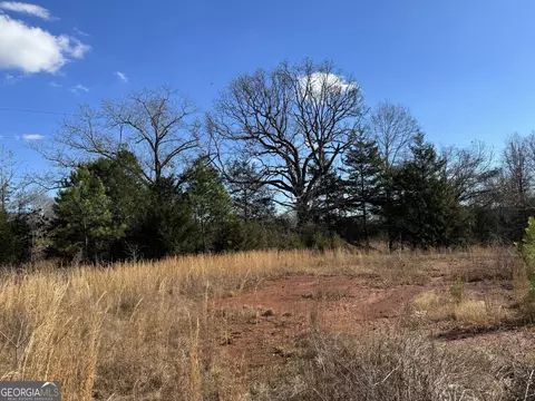 0 Paul Vandiver Rd, Carnesville, GA 30521