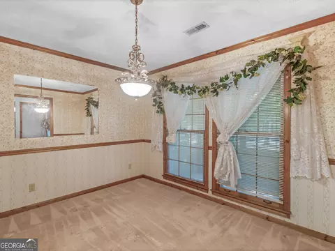 101 Bridget Dr, Hampton, GA 30228 photo 19