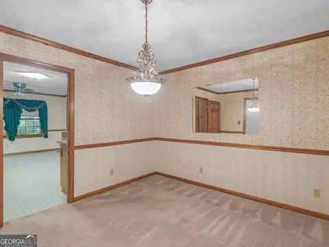 101 Bridget Dr, Hampton, GA 30228 photo 18