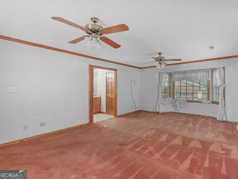 101 Bridget Dr, Hampton, GA 30228 photo 35