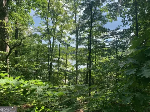 7 54 Acres Peeksville Rd, Locust Grove, GA 30248