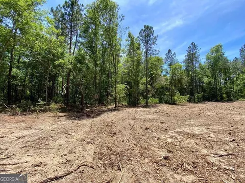 0 Tulip Rd, Rochelle, GA 31079 photo 5