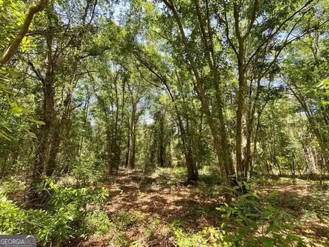 0 Tulip Rd, Rochelle, GA 31079