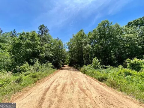 0 Tulip Rd, Rochelle, GA 31079 photo 7