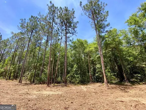 0 Tulip Rd, Rochelle, GA 31079 photo 9