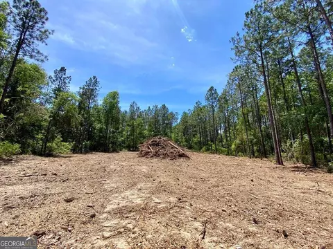 0 Tulip Rd, Rochelle, GA 31079 photo 2
