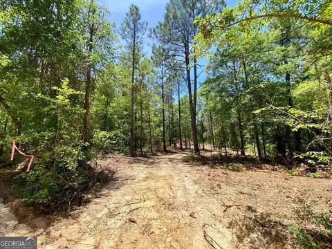 0 Tulip Rd, Rochelle, GA 31079 photo 4
