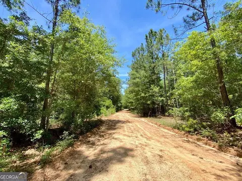 0 Tulip Rd, Rochelle, GA 31079 photo 3