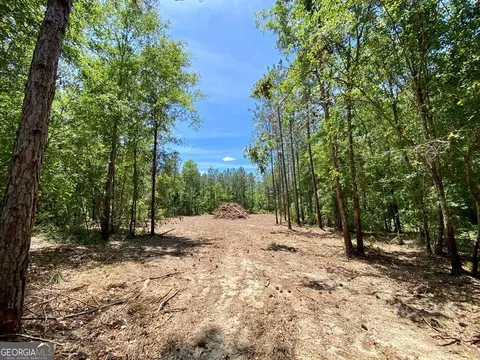 0 Tulip Rd, Rochelle, GA 31079 photo 10