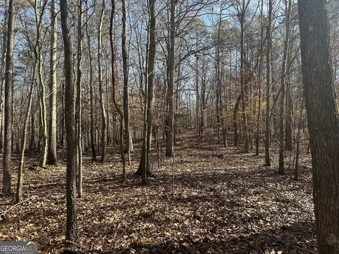 18 Acres Dove Hill Rd, Royston, GA 30662