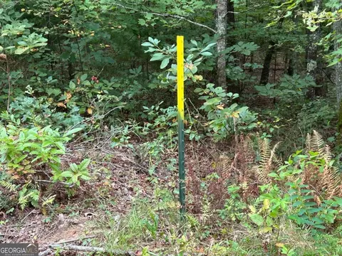21 43ac Blue Tick Rd #1015, Mccaysville, GA 30555