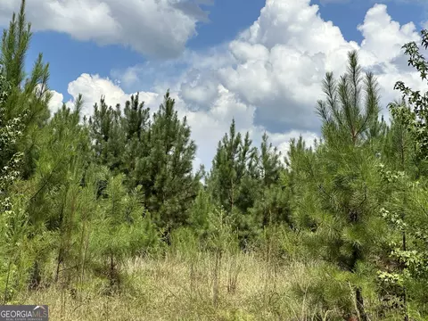 PARCEL #1 Tuck Persons Highway #84.2 ACRES, Waverly Hall, GA 31831