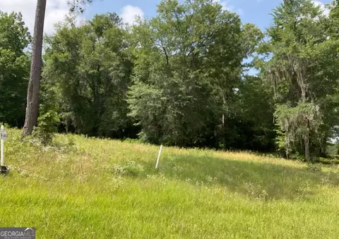 lot35 River Ridge Dr, Hawkinsville, GA 31036