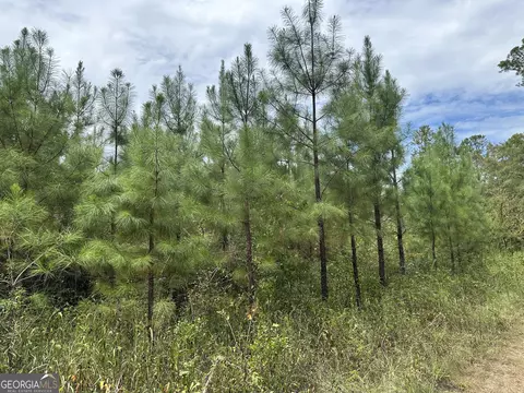 PARCEL #2 Tuck Persons Highway #76.6 ACRES, Talbotton, GA 31827