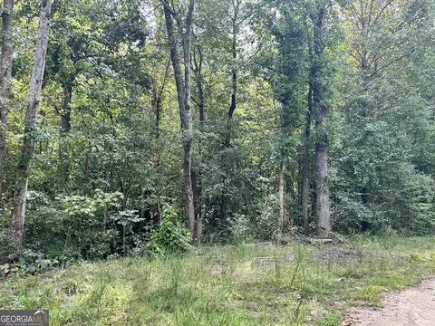 0 Lot 8 Moss Ln, Carnesville, GA 30521