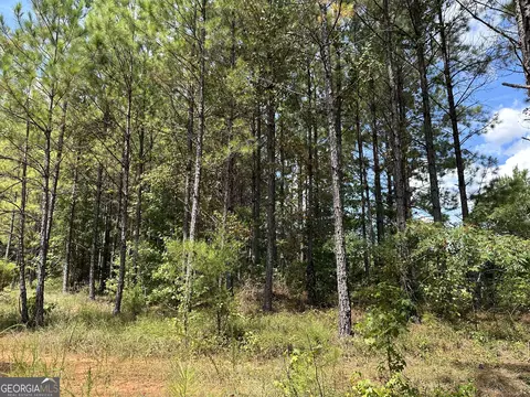 PARCEL #5 Tuck Persons Highway #167.2 ACRES, Talbotton, GA 31827
