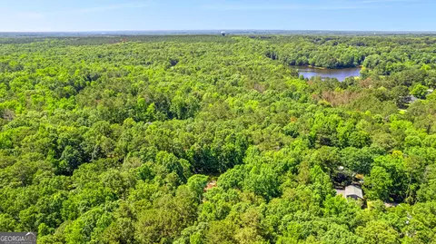 181 Winding Stream Trl, Hampton, GA 30228 photo 5