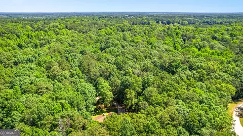 181 Winding Stream Trl, Hampton, GA 30228 photo 54