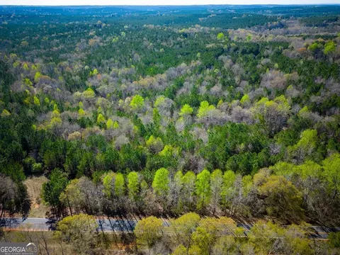 967 Johnny Miller Rd, Buena Vista, GA 31803