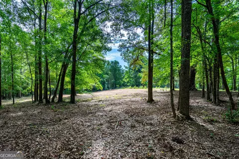 225 Thrash Rd, Lagrange, GA 30241 photo 36