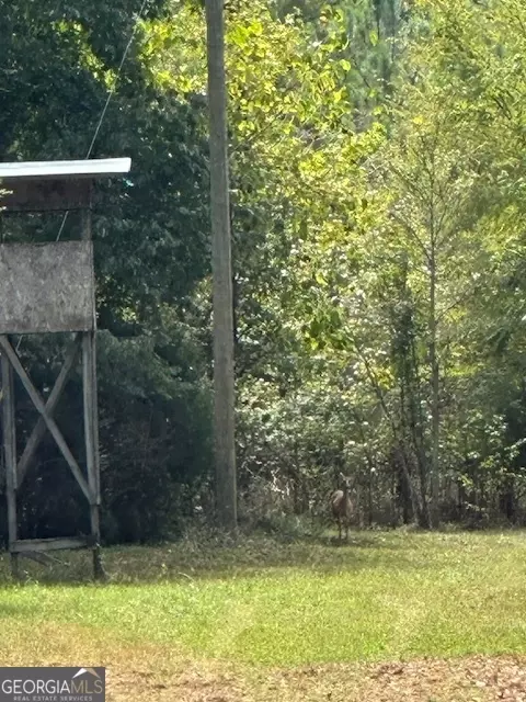 882 Mcwhorter Rd, Stephens, GA 30667 photo 49