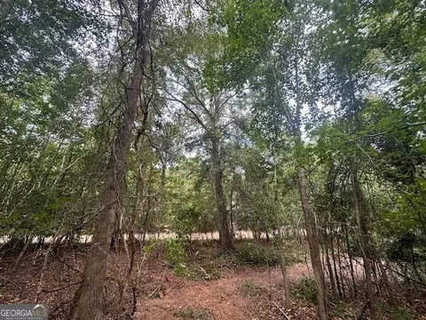 882 Mcwhorter Rd, Stephens, GA 30667 photo 35