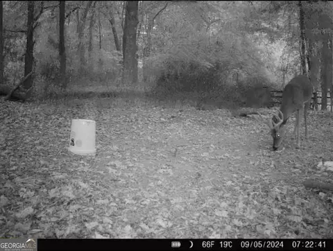 882 Mcwhorter Rd, Stephens, GA 30667 photo 7
