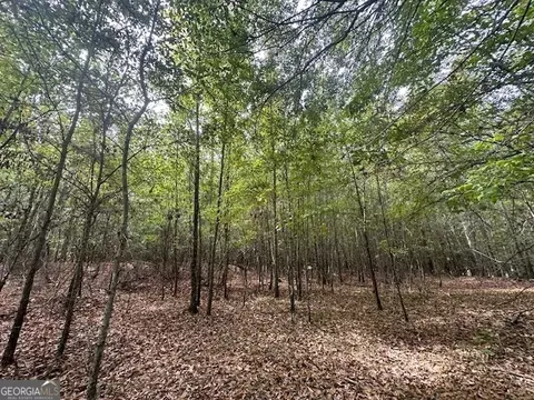 882 Mcwhorter Rd, Stephens, GA 30667 photo 41